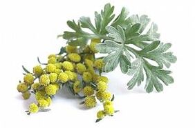 koirohu ekstrakt NEOfloraxis